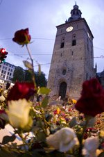 Domkirken og rose